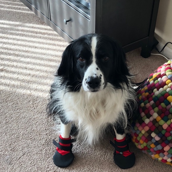 Meet your Posher, Mark - Picture 1 of 1